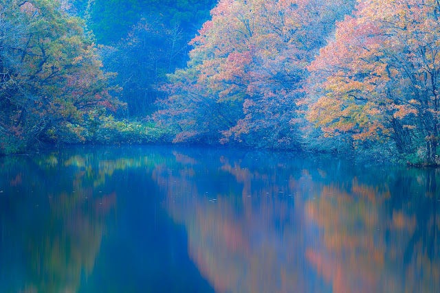 #photo #landscape #sigma #foveon #sdquattroh #japan #yamagata #tsuruoka #山形県 #鶴岡市 #山形帝國 #写真 #風景写真