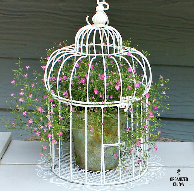 Thrifted Birdcage to Baby's Breath Planter #upcycle #babysbreath