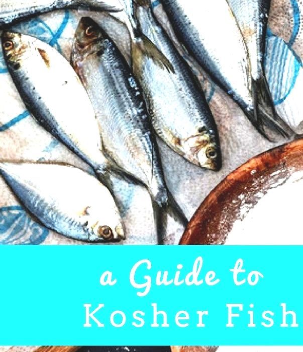 List Of Kosher Fish Kosher Fish