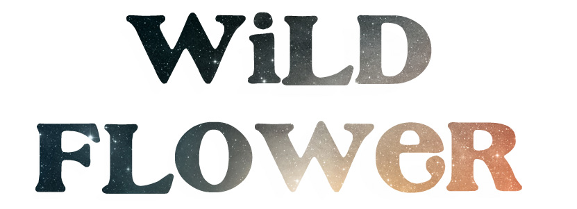 WildFlower