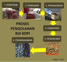 Bioteknologi Konvensional