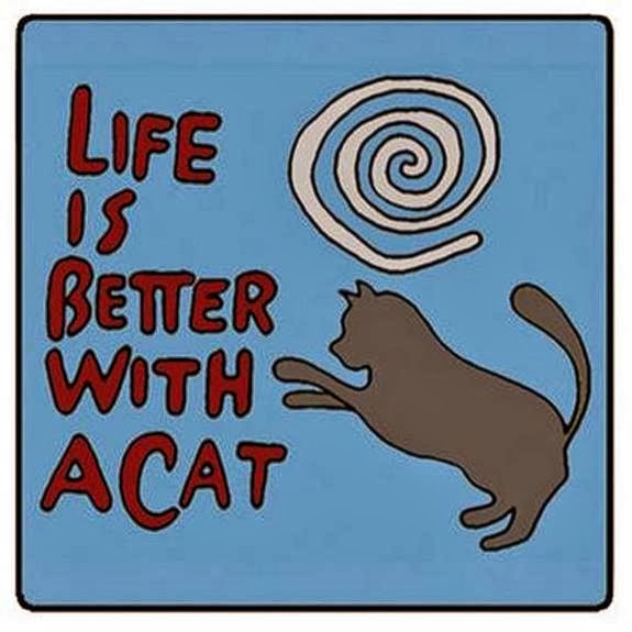 Life Quotes ~ amazing facts