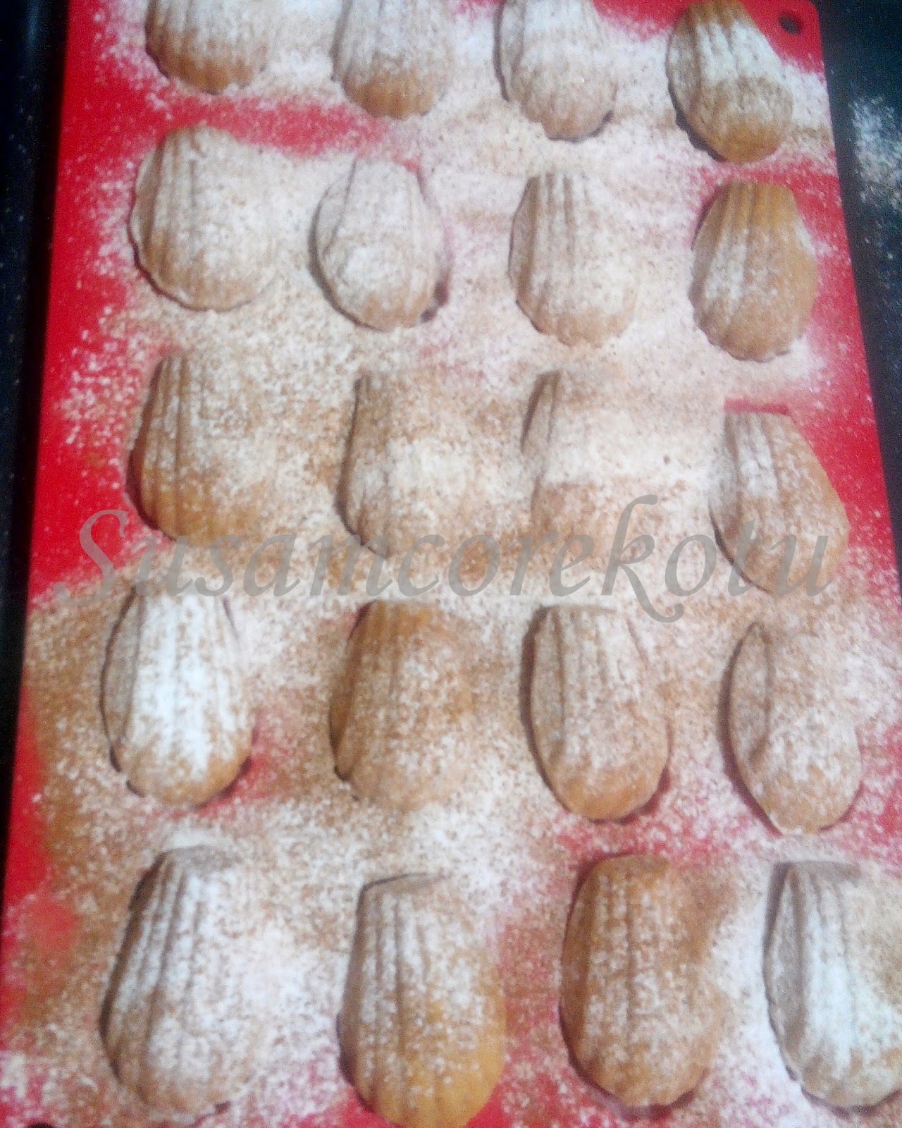 SIVI YAĞLI TARÇINLI KURABİYE Susam Çörek Otu Denenmiş Tarifler