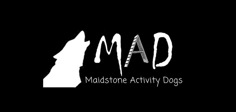 Maidstone Activity Dogs