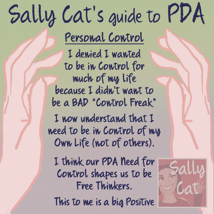 Sally Cat PDA How I understand PDA (in language kids can understand)