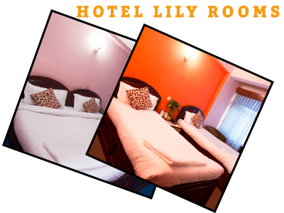Hotel Lily Rooms