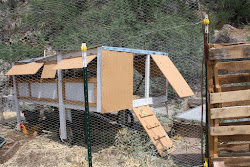 mobile chicken coop edible garden muscovy ducks