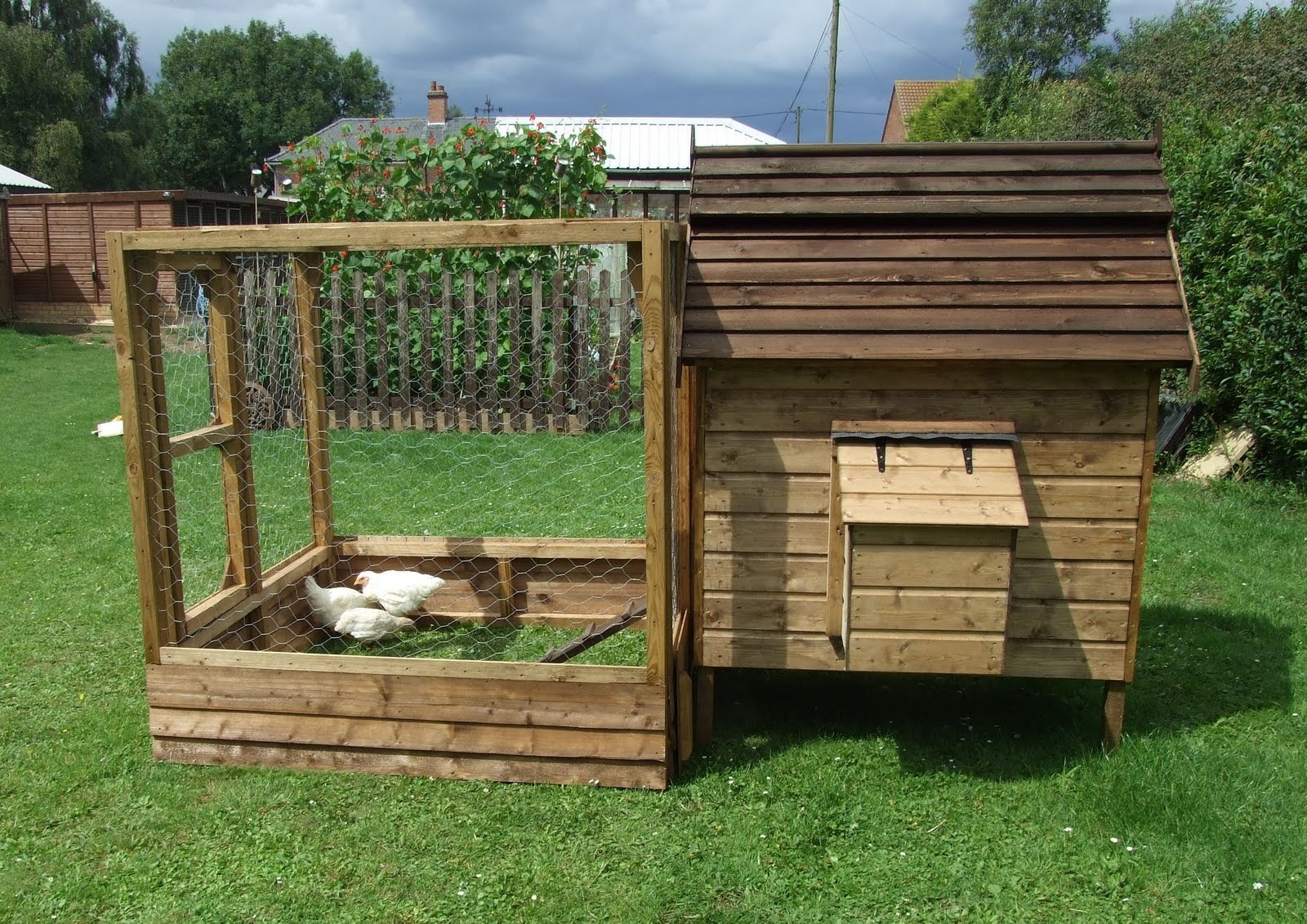 Shimmering Gold Fields: A chicken coop for your chicks - Coop1