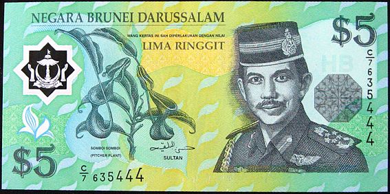 Gambar Uang Brunei Darussalam dan Nama Mata Uang Negaranya - Gambar Uang