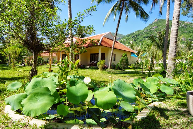 wallpaper  Diamond Bay Resort Nha Trang