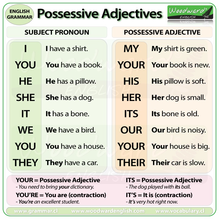 Pronome possessivo em inglês: Aprenda aqui - Seu Idioma