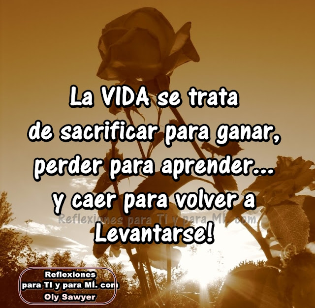 Reflexiones para TI y para MÍ: ** La VIDA se trata ...