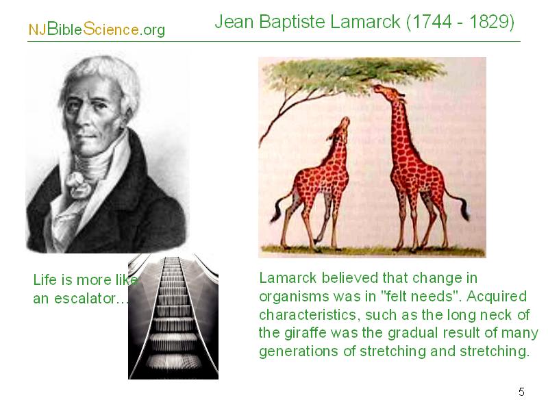 biologia al cubo 252. GRANDES CIENTÍFICOS (Jean Baptiste Lamarck)