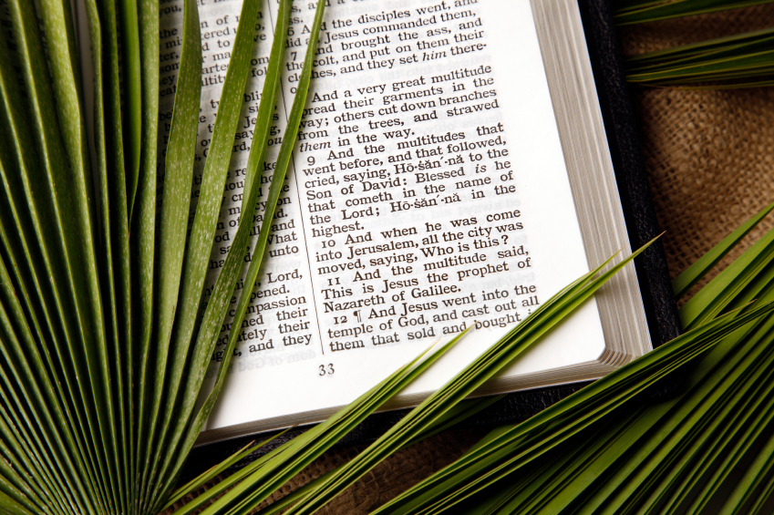 Palm Sunday wallpapers 2016