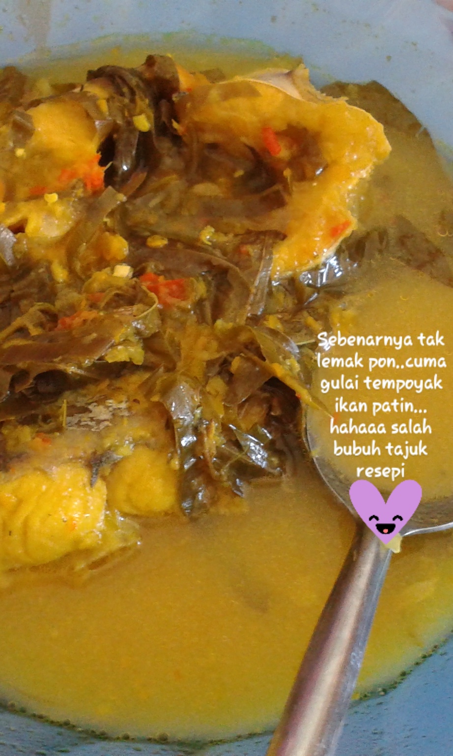 Gulai Tempoyak Ikan Patin