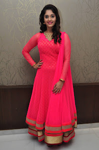 Surabhi at Gentleman Success Meet