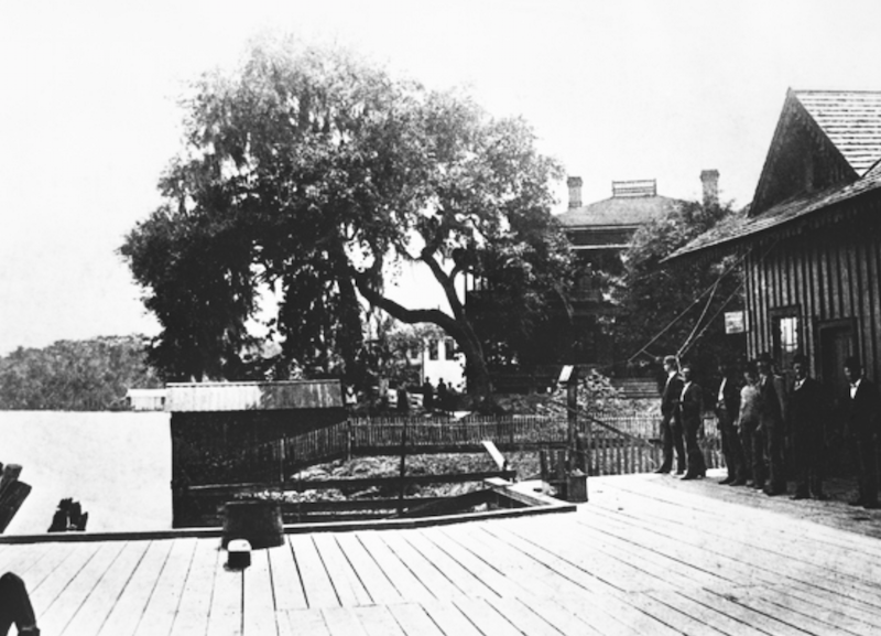 Frontier Florida Manhattan in Florida