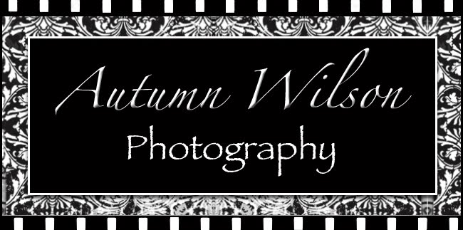 Autumn Wilson Photography