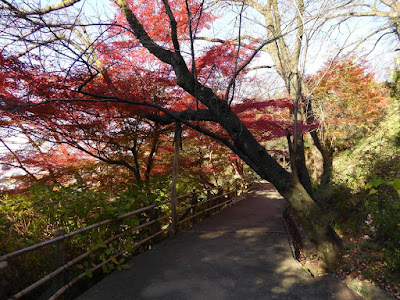 野崎観音・慈眼寺（じげんじ）の紅葉