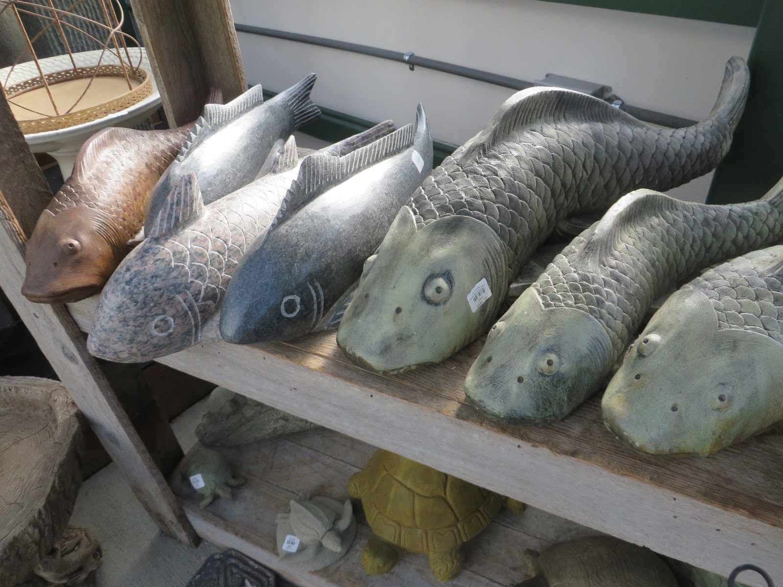 Nursery Visit Sky Nursery Seattle