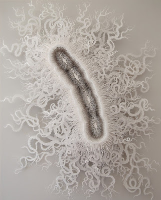 cut paper sculpture microbe Rogan Brown