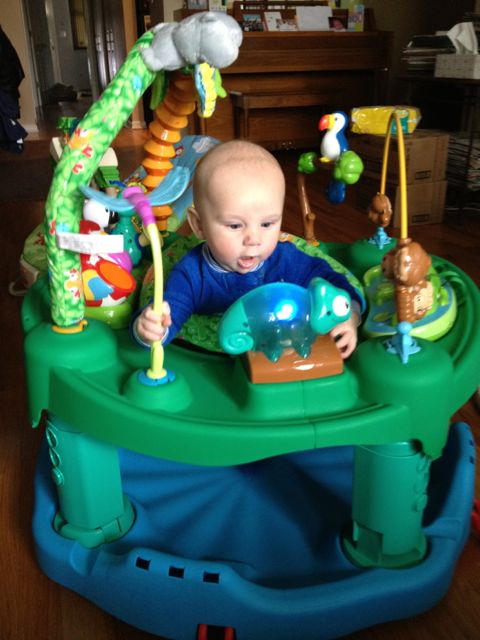 Baba G & Me: Evenflo ExerSaucer Triple Fun - Jungle