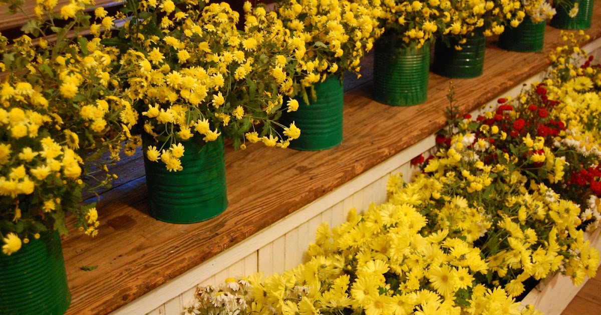 Recollections of a Vagabonde 100th Chrysanthemum Show in Stilesboro