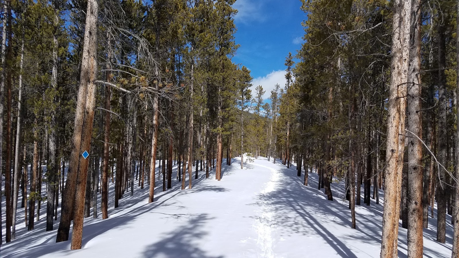 Kearney Park Loop Snowshoeing at Leadville Fish Hatchery