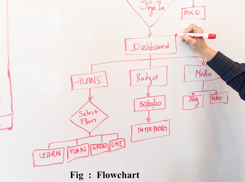 फ्लोचार्ट क्या होता है - What is Flowchart in Hindi | Learning Dose