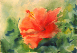 watercolor hibiscus painting acrylic odd perchard michael supposed study future something quick