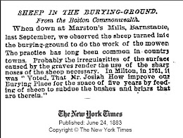 "SHEEP IN THE BURYING-GROUND"