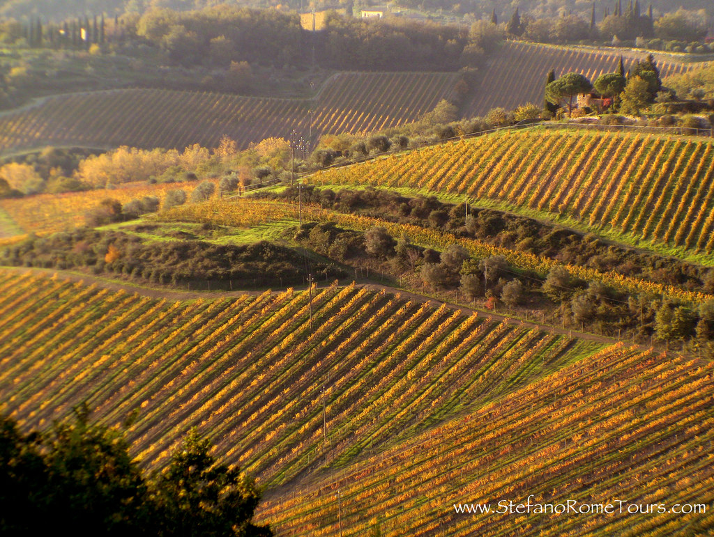 Playing with Papercrafting Vintage Tuscan Vineyard