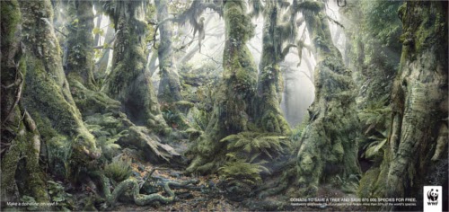 00-Anaïs-Boileau-WWF-Marcel-Hidden-Animals-in-the-Rainforest-www-designstack-co