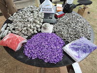 Forças Policiais - Drogas Apreendidas