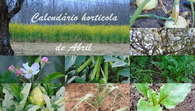 Sementeiras de Abril Calendário hortícola de Abril