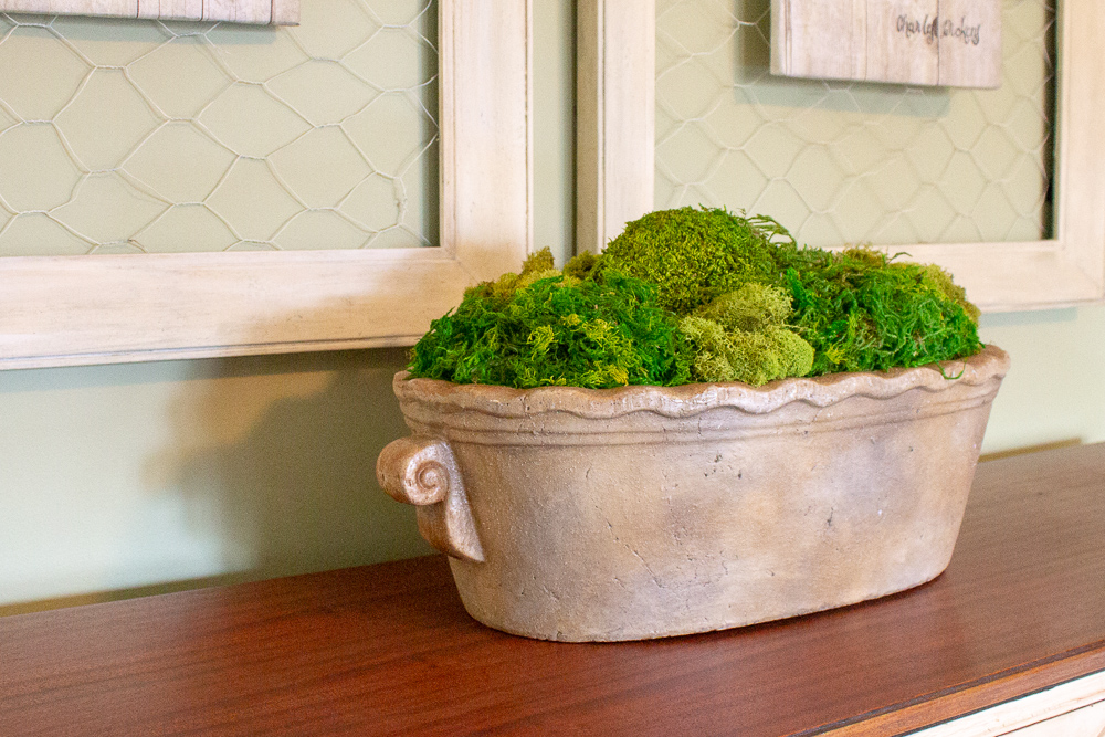 How To Make Inexpensive Moss Bowls Miss Kopy Kat