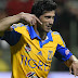 Ve a Tigres en la Liguilla