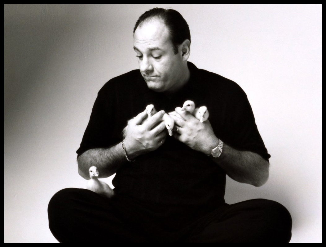 JIMSMASH ! ! ! RIP JAMES GANDOLFINI