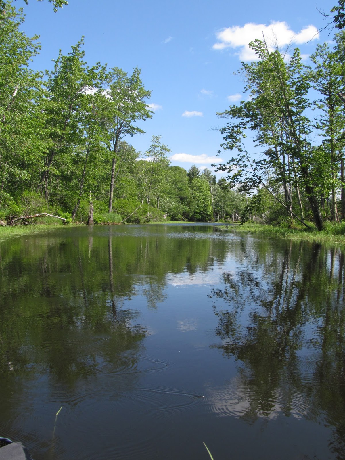 Recreational Kayaking in Maine Upper Pleasant Pond, Richmond, Maine