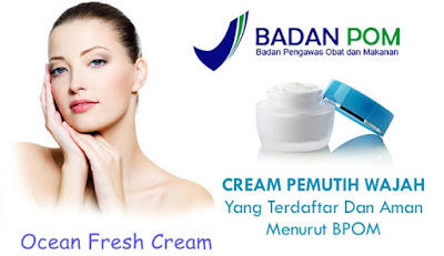Produk Pemutih Wajah Yang Cepat Juga Aman Produk Pemutih Wajah Yang Cepat Juga Aman