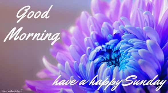 good-morning-monday-flowers-images good morning monday flowers images