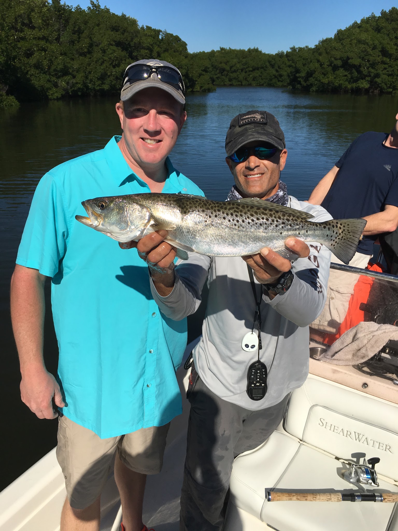 Winter Seatrout