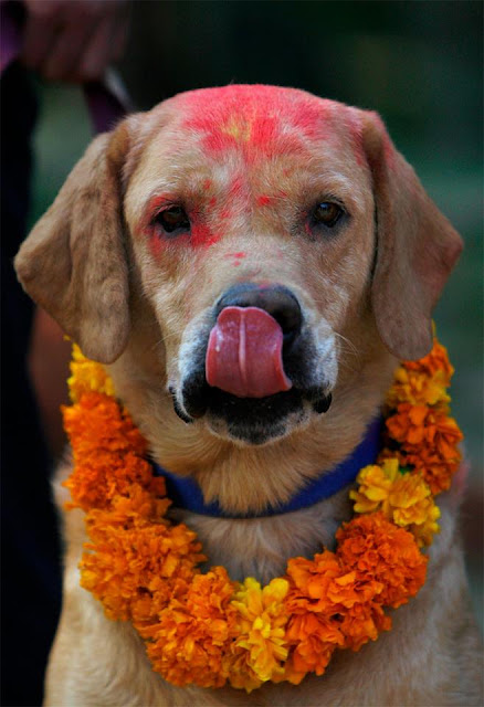 psy festival Nepál