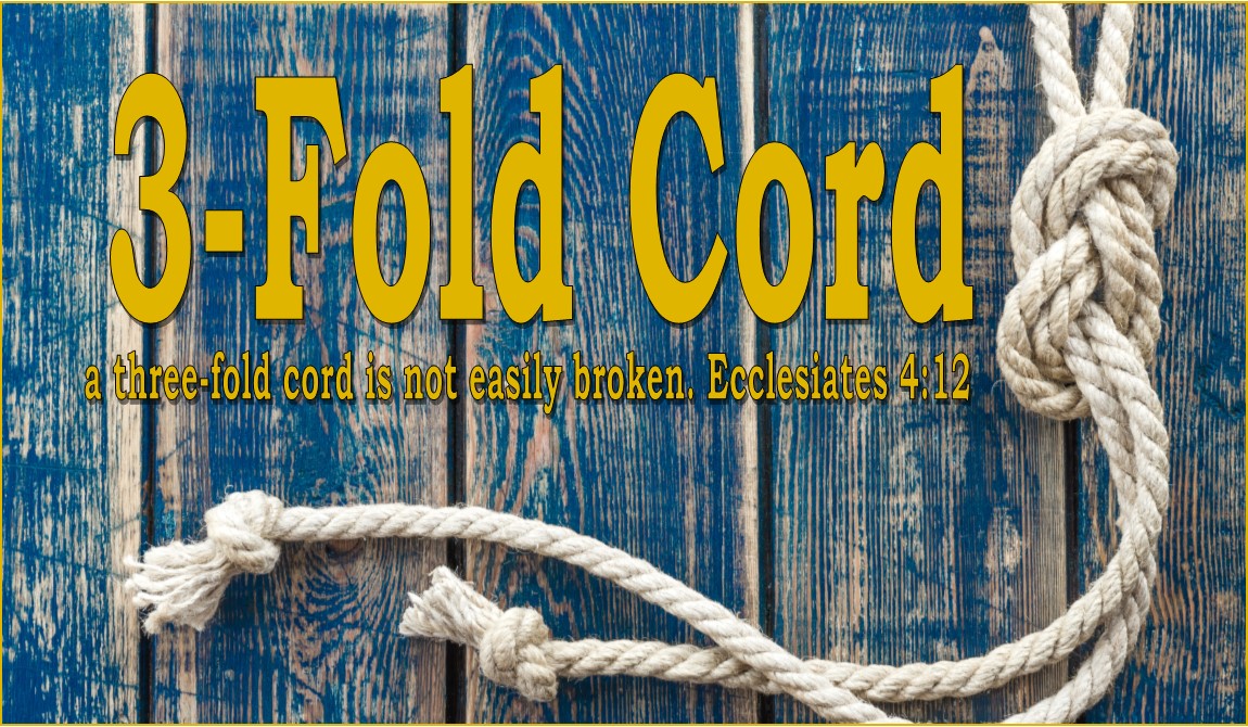 3-Fold Cord