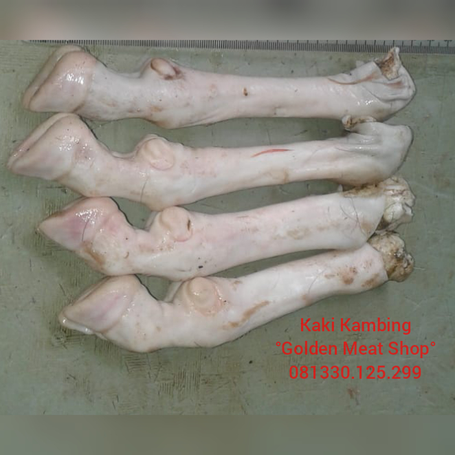 Jual Kaki Kambing Mentah Jual Daging Kambing Surabaya Jual Daging Kambing Frozen Surabaya Februari 2019 Jual Kaki Kambing Mentah Jual Daging Kambing Surabaya Jual Daging Kambing Frozen Surabaya Februari 2019
