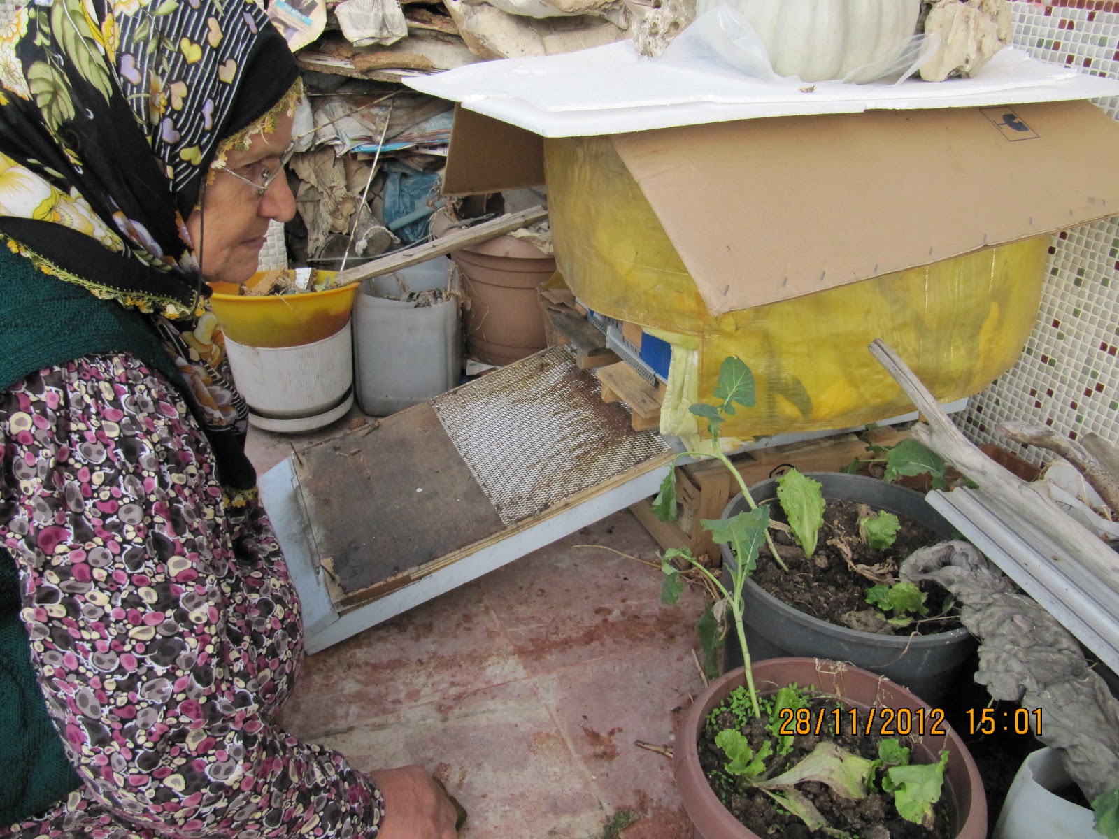 BALCI YUSUF TERASTA ARI BAKIMI