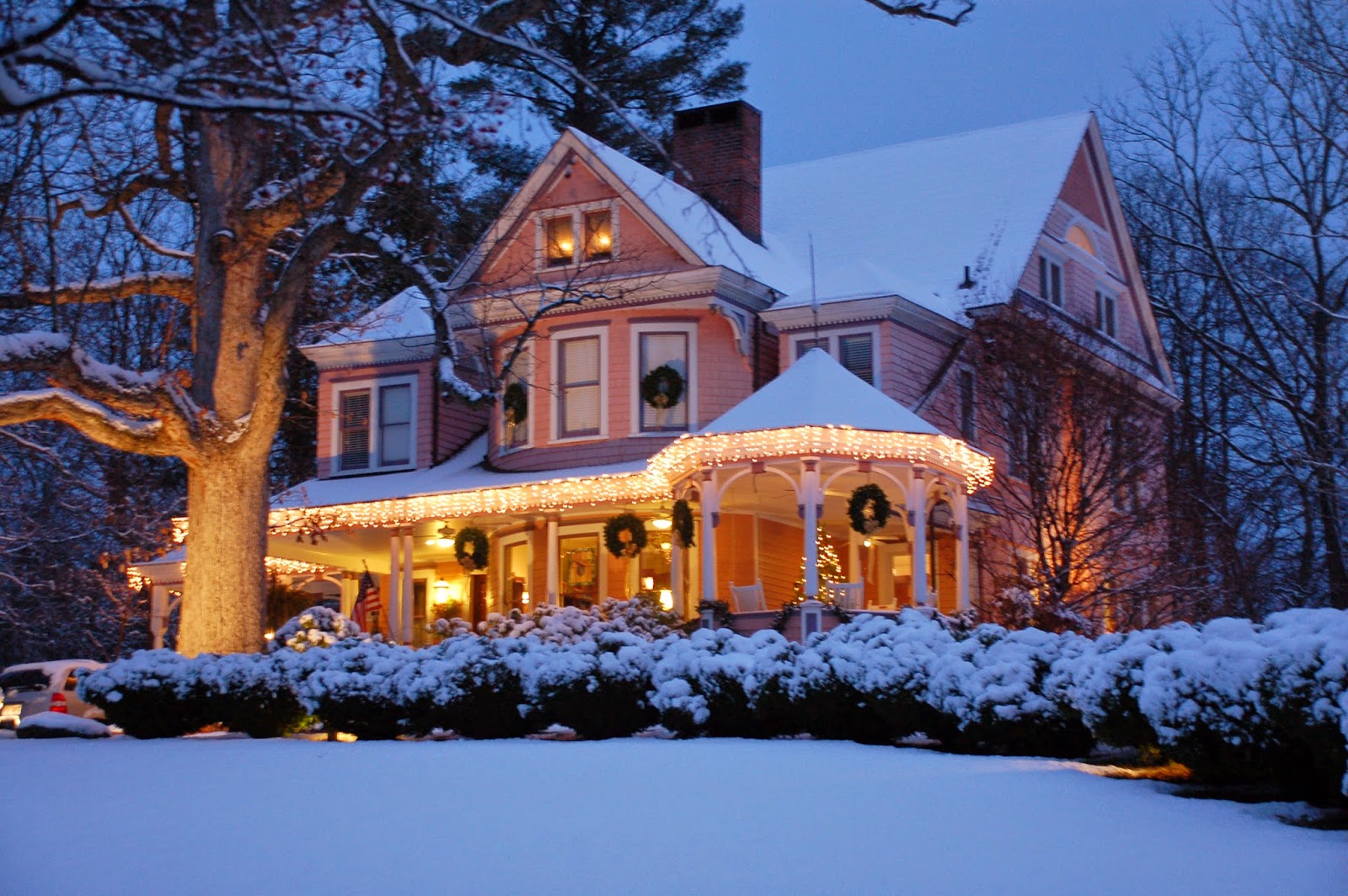 HinesSight Blog Asheville Christmas Cats and Cozy Inns in N.C. Christmas Inns
