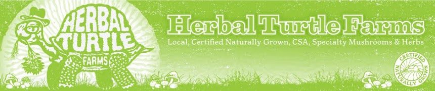 Herbal Turtle Farms