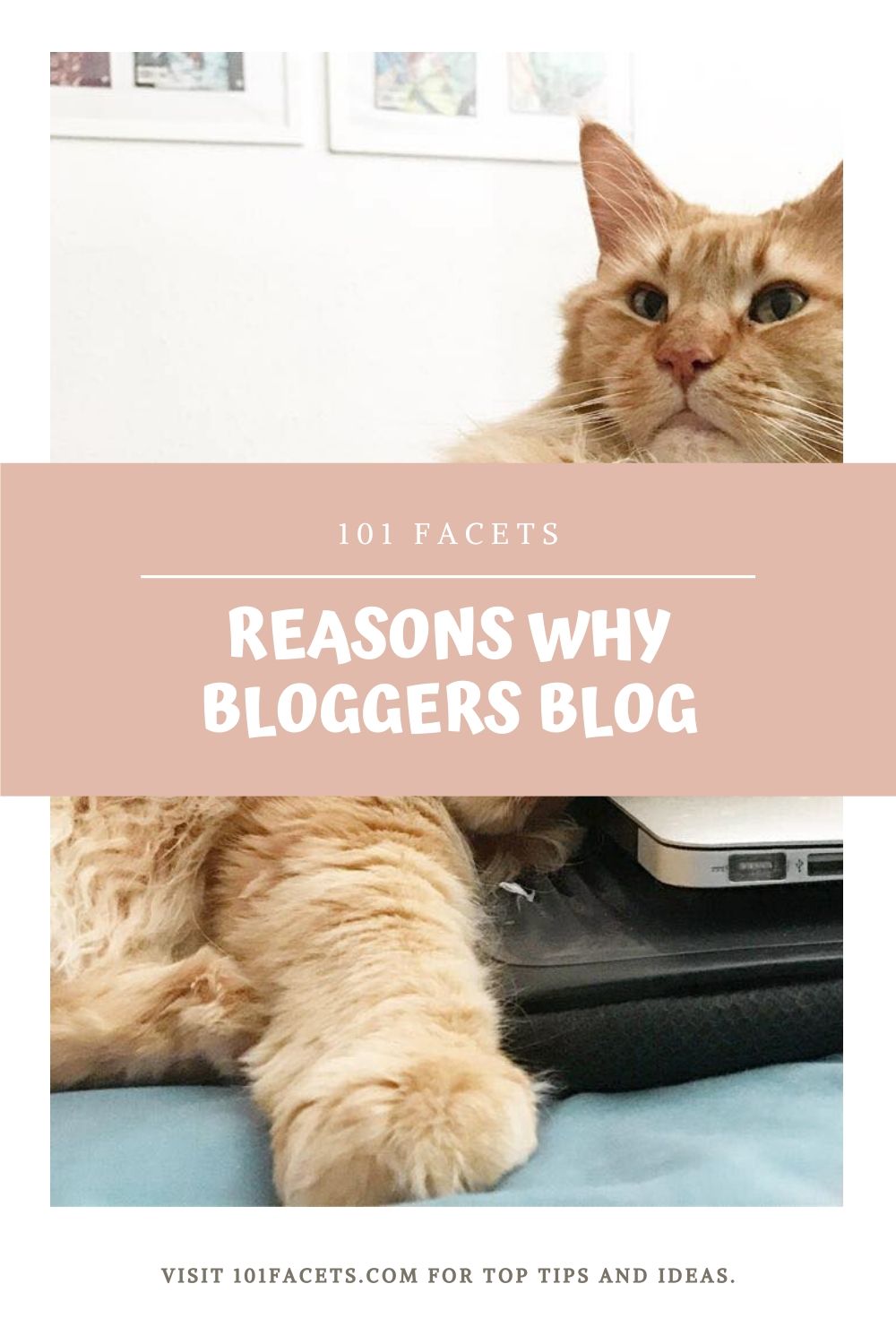 10 Reasons Why Bloggers Blog 2