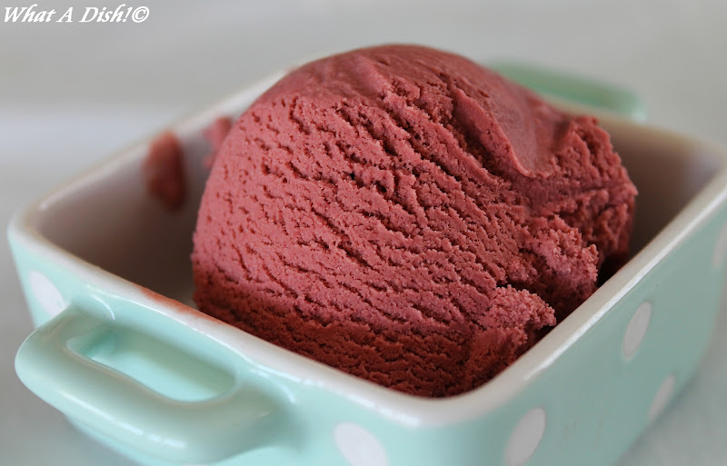 What A Dish! ChocolateRaspberry Ice Cream
